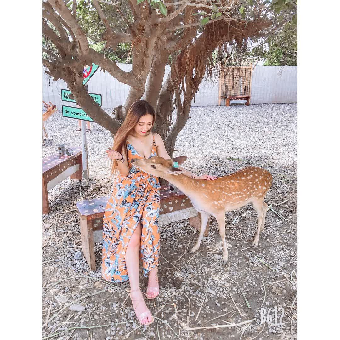 鹿境梅花鹿生態園區丨門票消費最高折抵140丨梅花鹿、水豚互動餵食丨室內親子DIY區丨親子遊戲區丨甜鹹輕食霜淇淋供應丨超可愛獨家紀念品丨奶茶、咖啡好喝 | 去趣 chicTrip