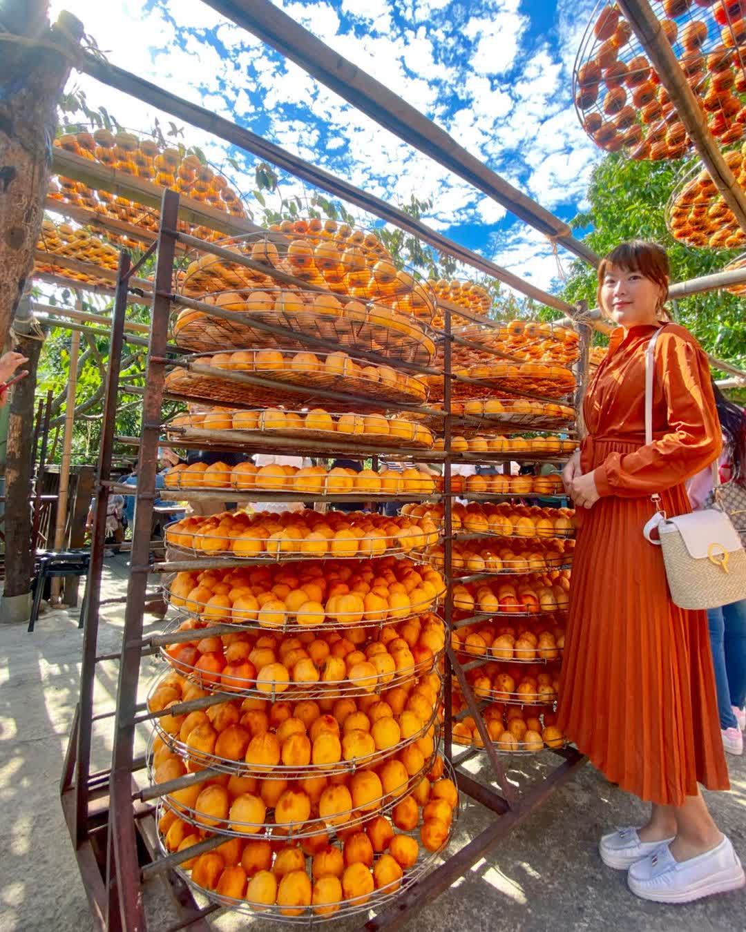 味衛佳柿餅教育農園 | 去趣 chicTrip