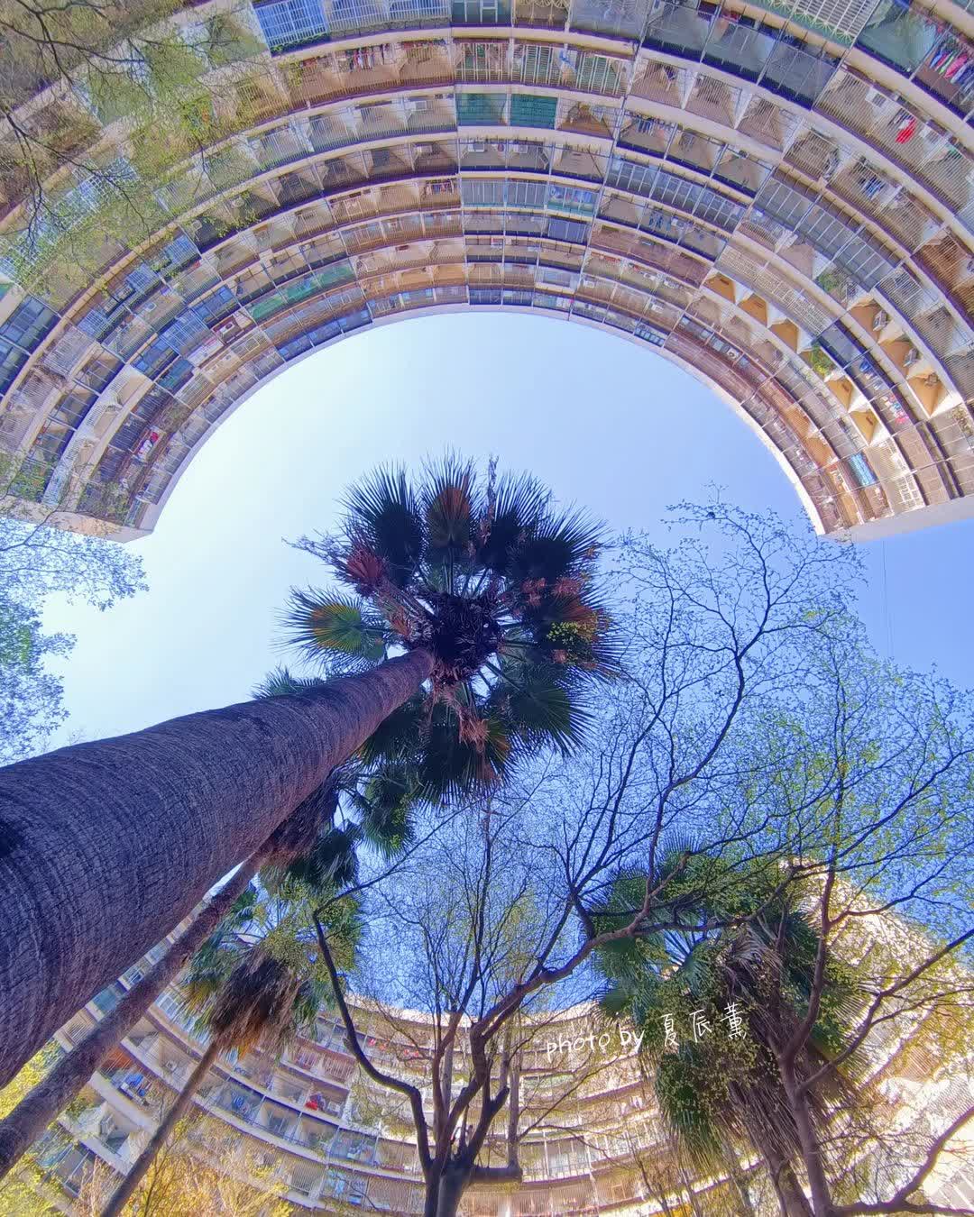 果貿社區公園 | 去趣 chicTrip