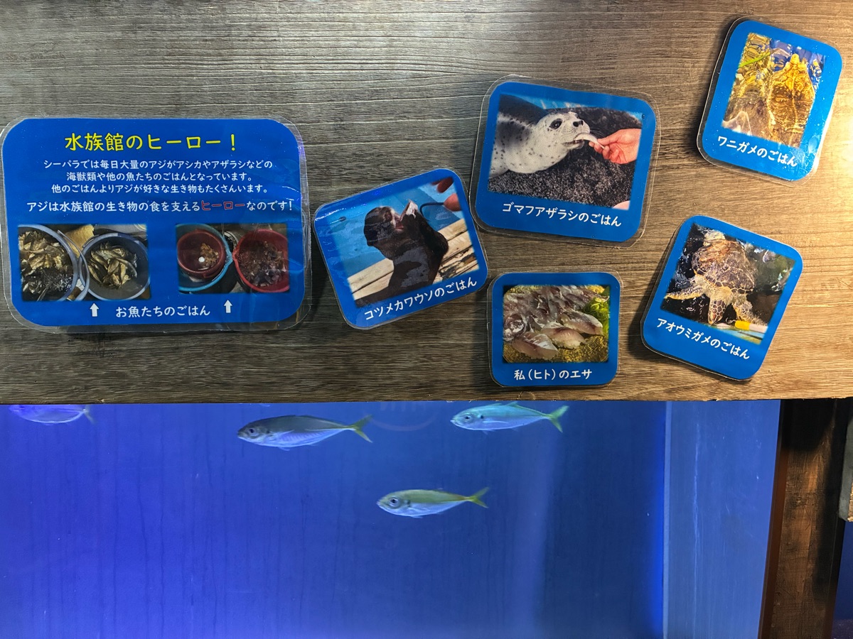 伊勢海洋樂園 | 去趣 chicTrip