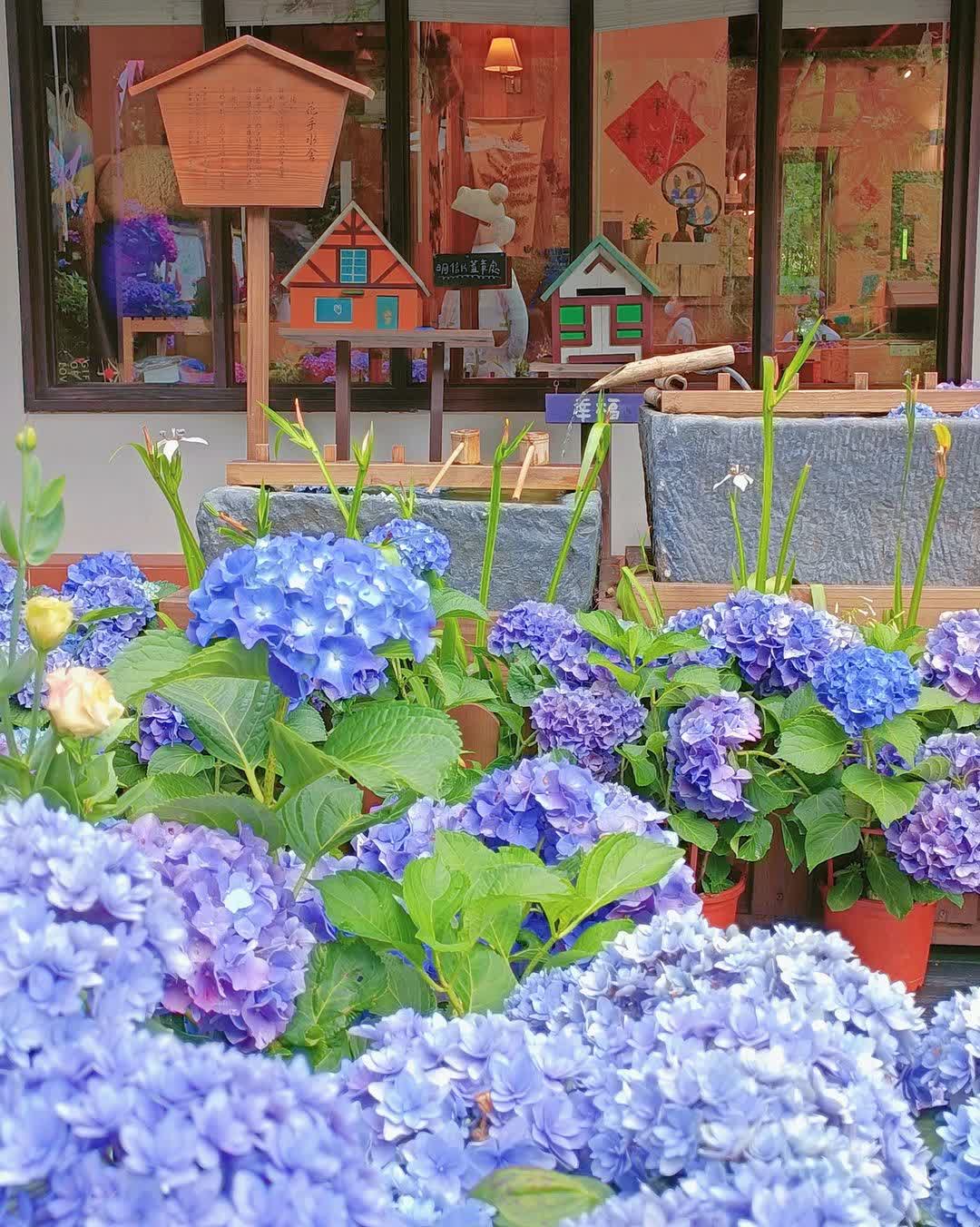 薰衣草森林台中新社店 | 去趣 chicTrip