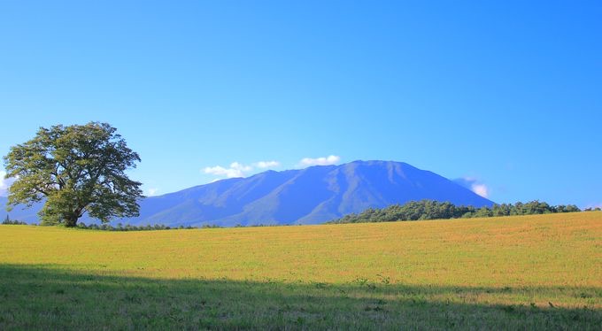 小岩井農場 | 去趣 chicTrip