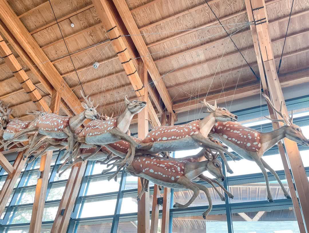 臺南左鎮化石園區(16:00截止售票、17:00閉館) | 去趣 chicTrip