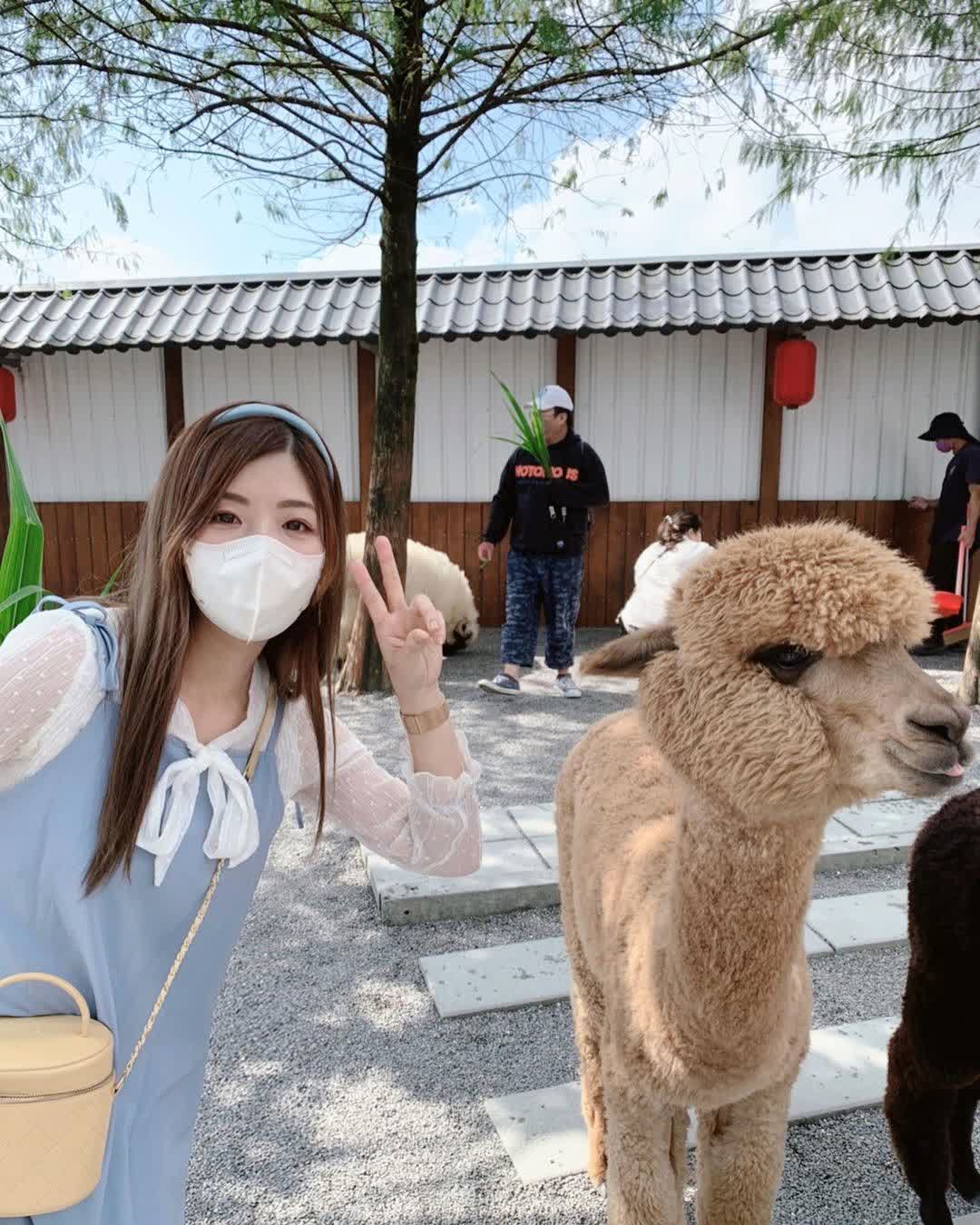 張美阿嬤農場（月森甯手作工坊） | 去趣 chicTrip