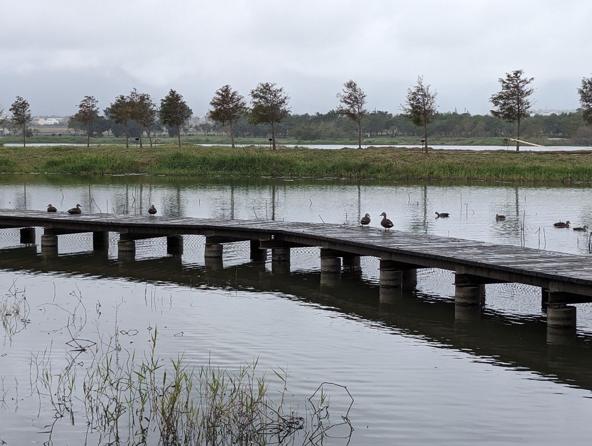 池上大坡池 | 去趣 chicTrip