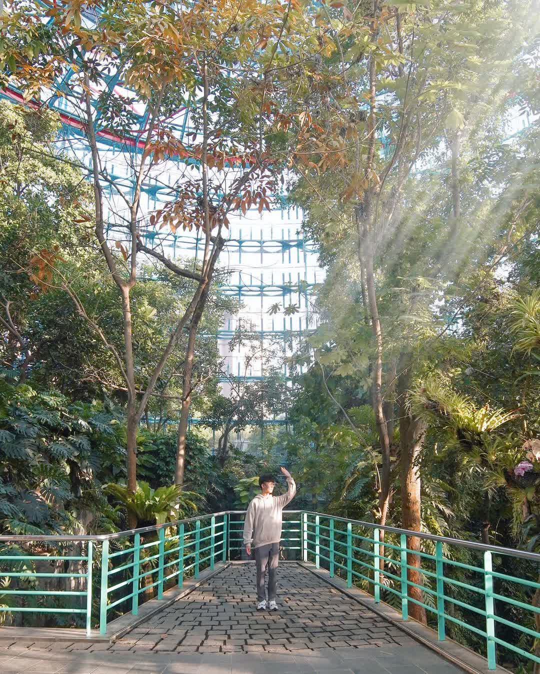 國立自然科學博物館植物園 | 去趣 chicTrip