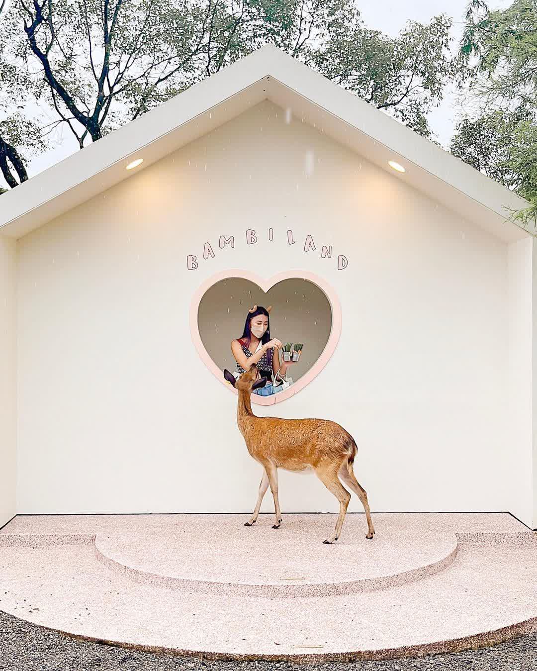 宜蘭-斑比山丘 | 去趣 chicTrip