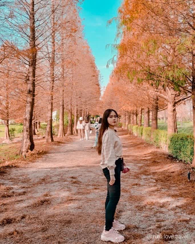 成美文化園 | 去趣 chicTrip