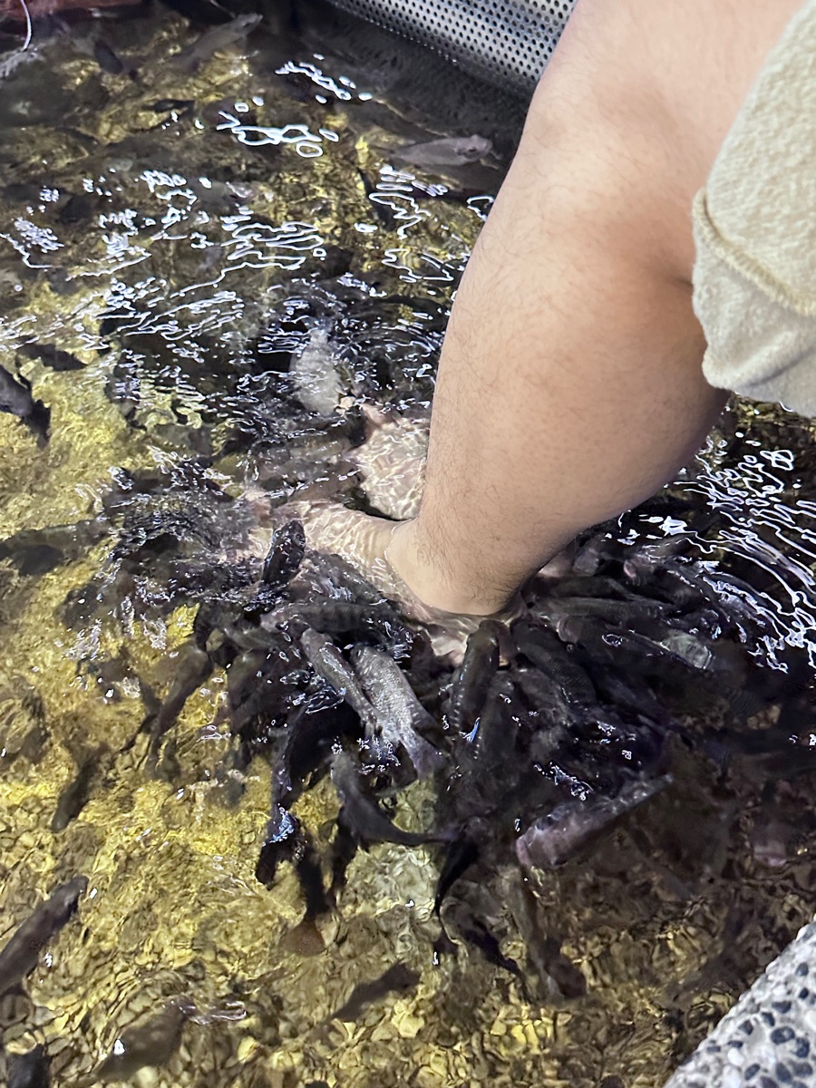 礁溪湯圍溝重口味溫泉魚 | 去趣 chicTrip