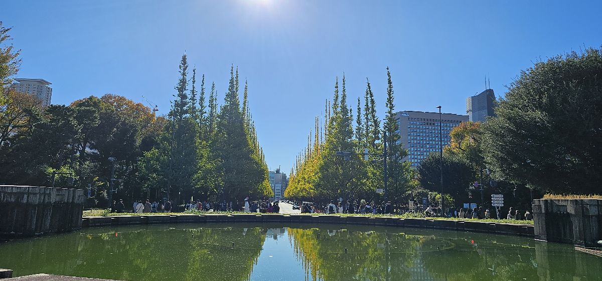 明治神宮外苑 | 去趣 chicTrip