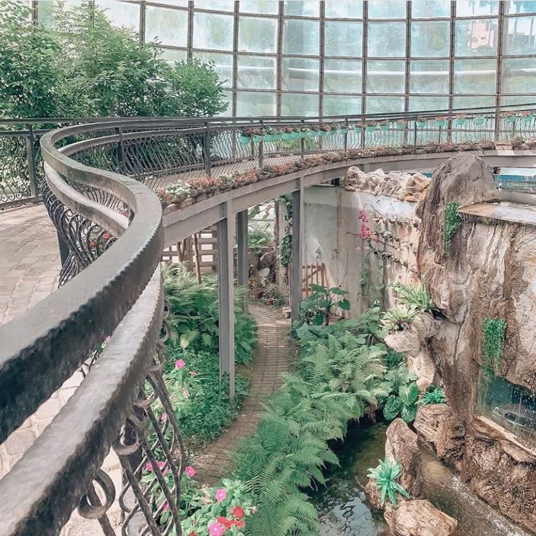 嘉大昆蟲館 | 去趣 chicTrip