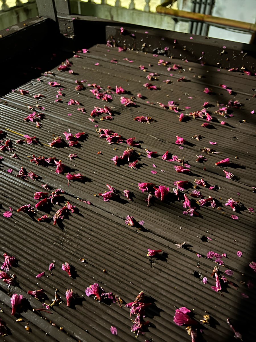 清境農場國民賓館 | 去趣 chicTrip