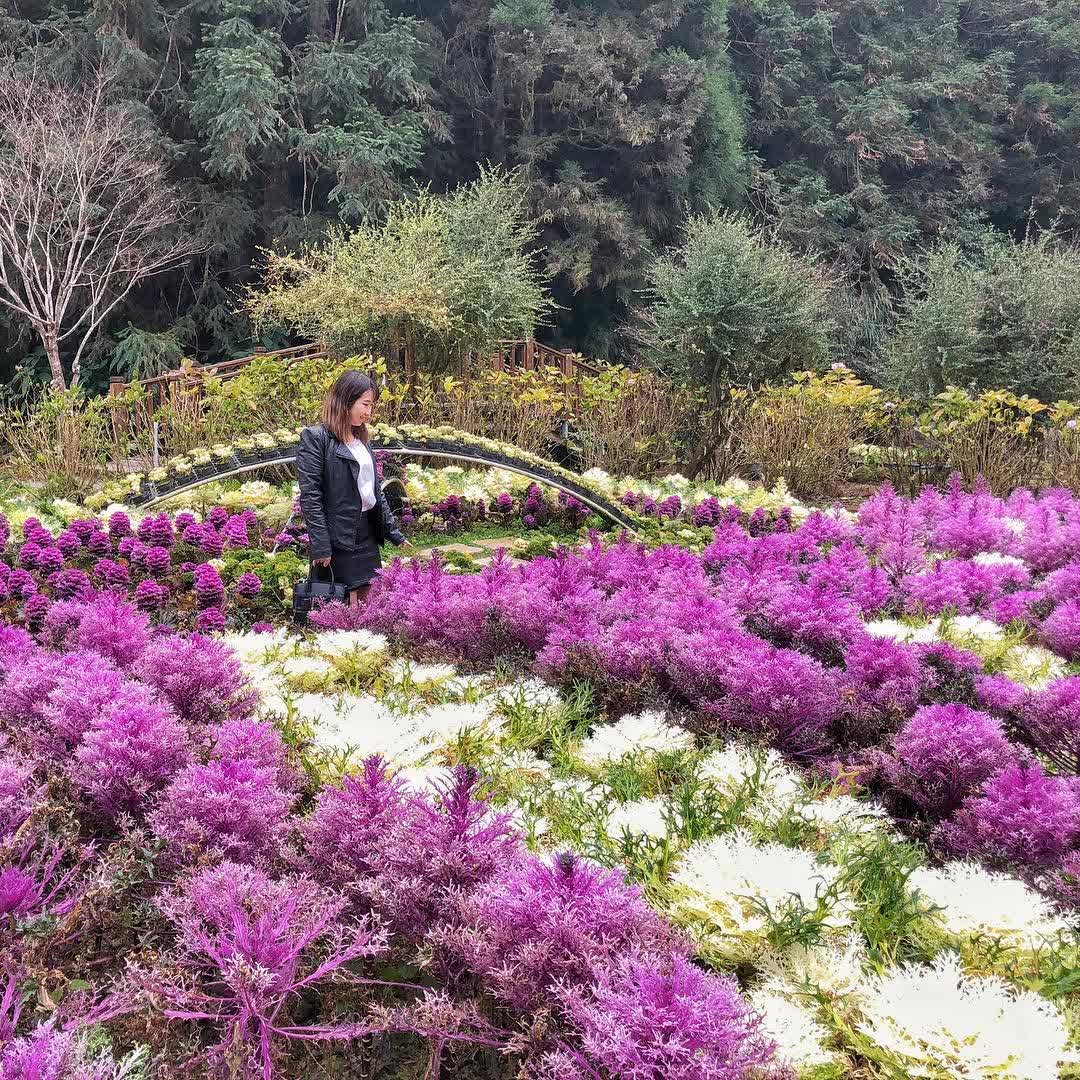 杉林溪森林生態渡假園區 | 去趣 chicTrip