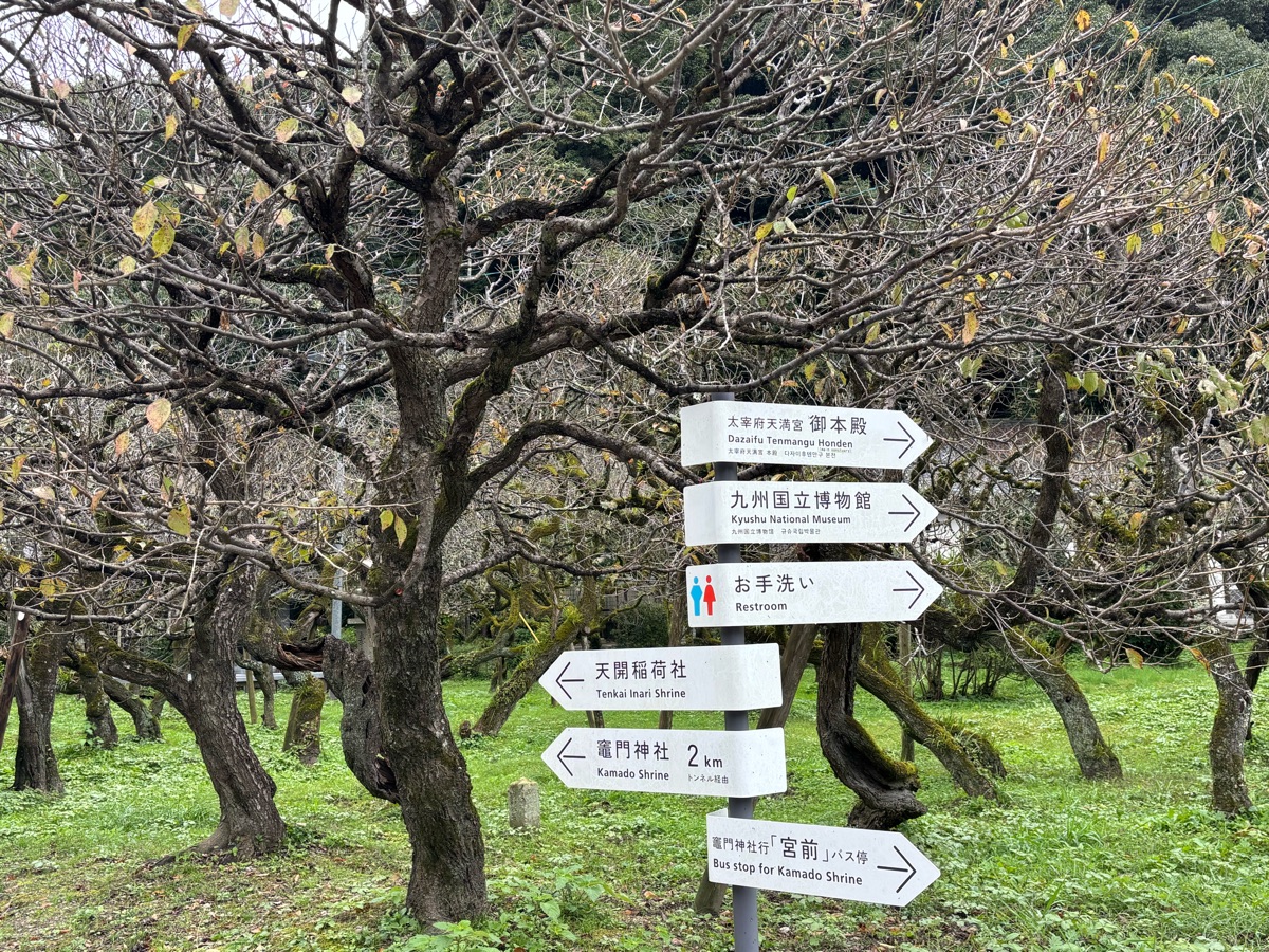 太宰府天滿宮 | 去趣 chicTrip