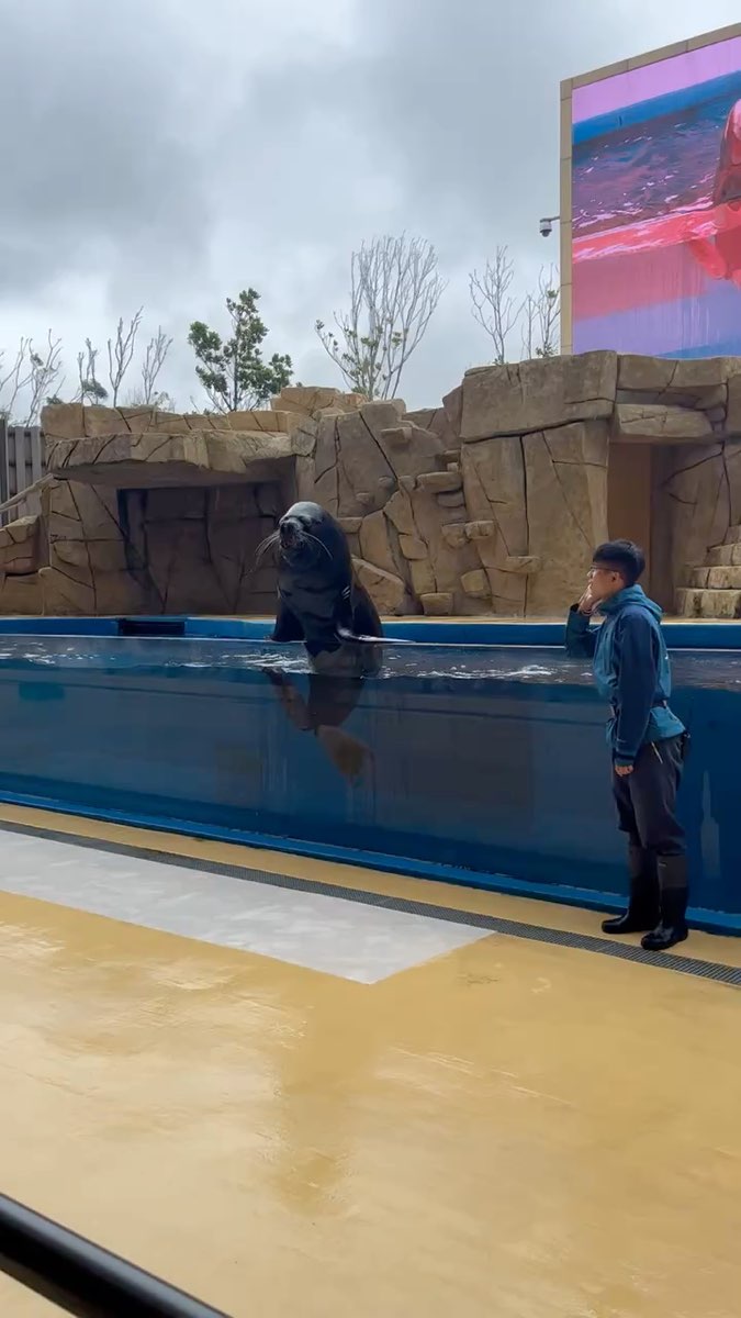 Xpark 水族館 | 去趣 chicTrip