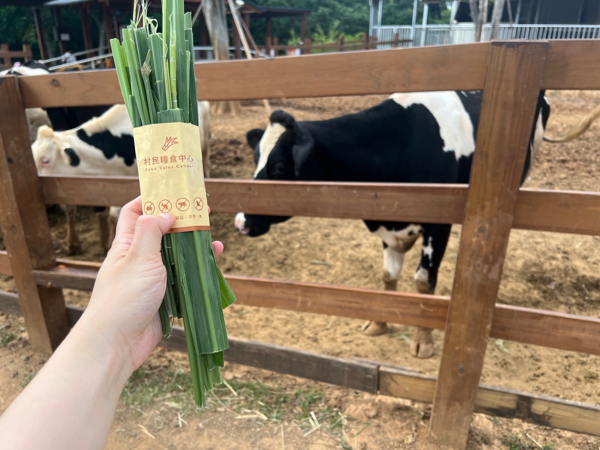 埔心牧場 | 去趣 chicTrip