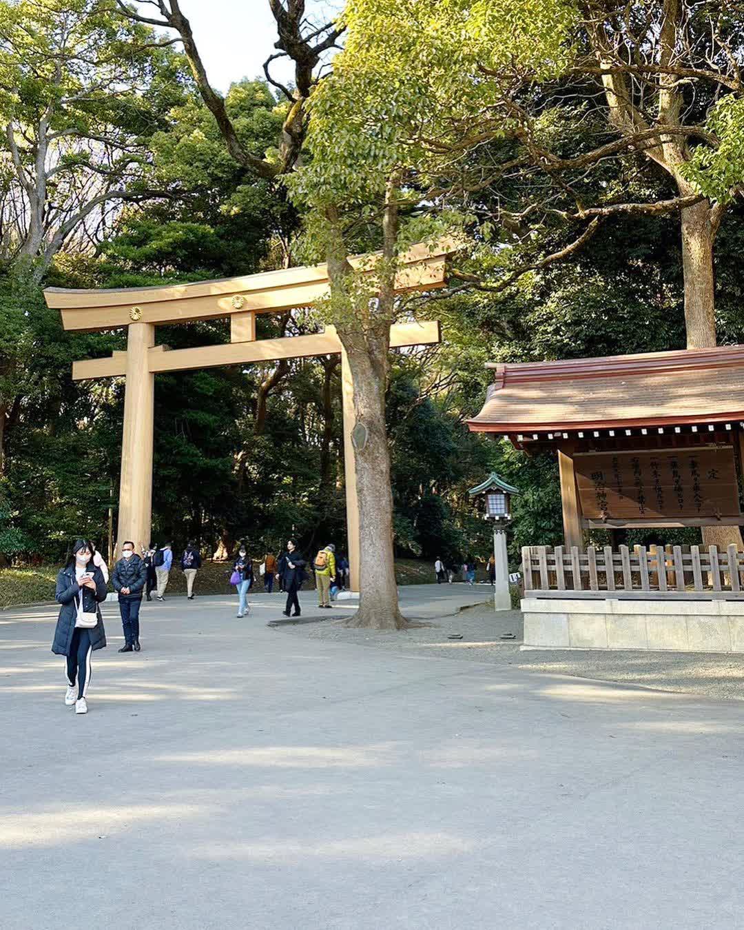 明治神宮 | 去趣 chicTrip