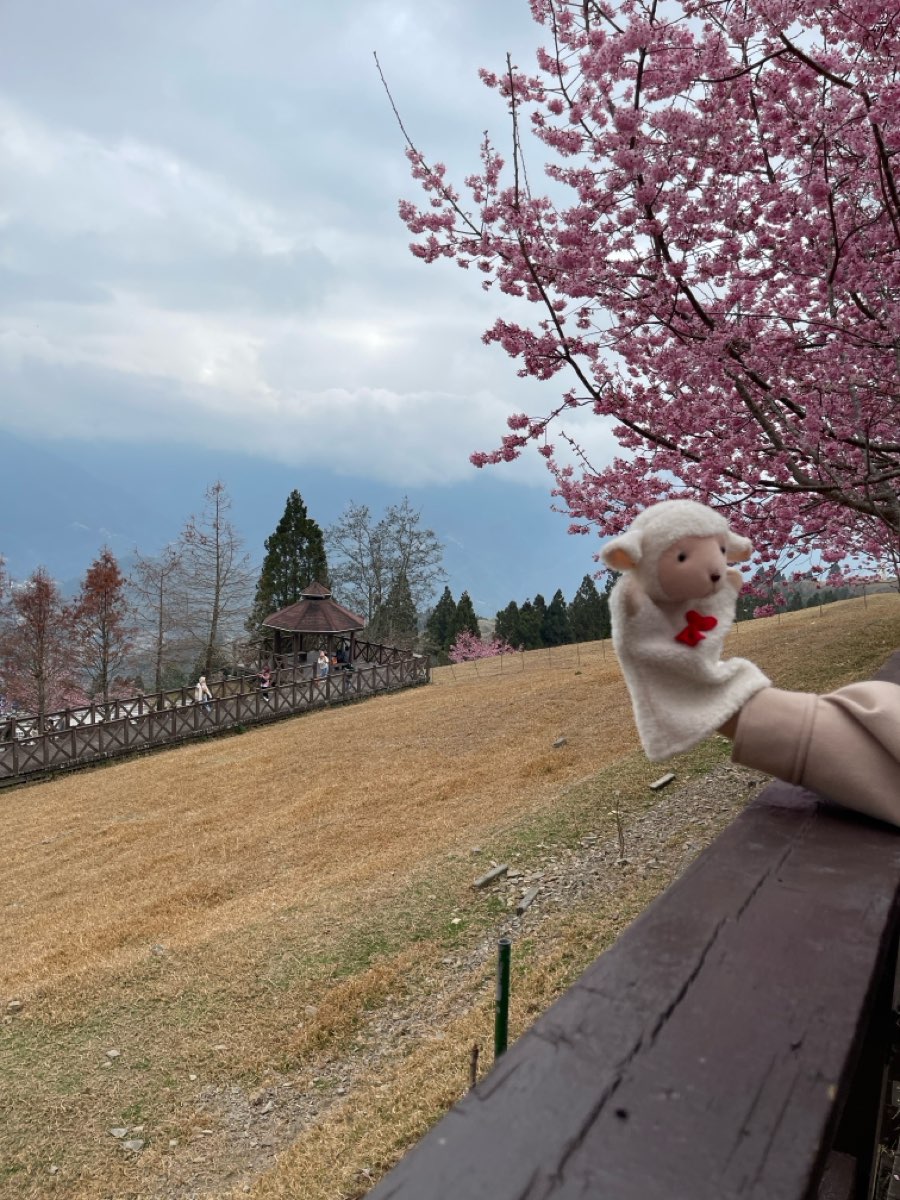 清境農場青青草原 | 去趣 chicTrip