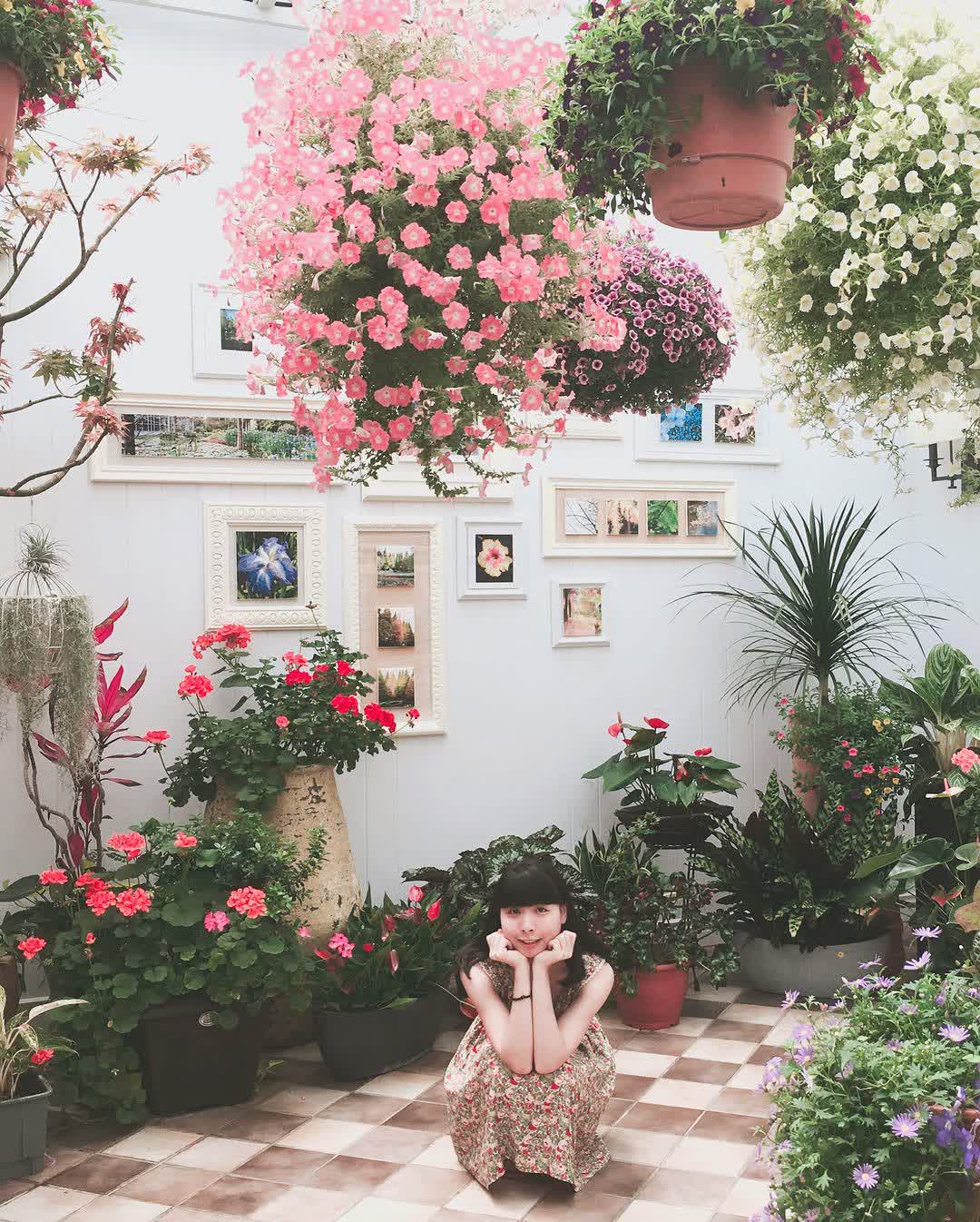 菁芳園 落羽松景觀餐廳 | 去趣 chicTrip