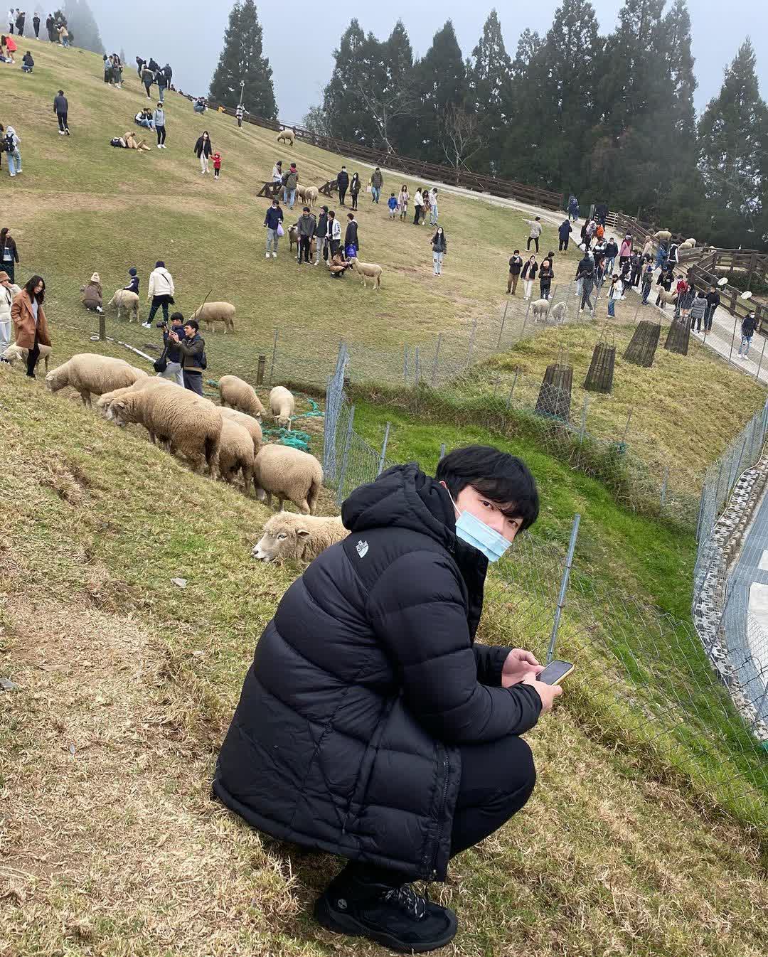 清境農場青青草原 | 去趣 chicTrip