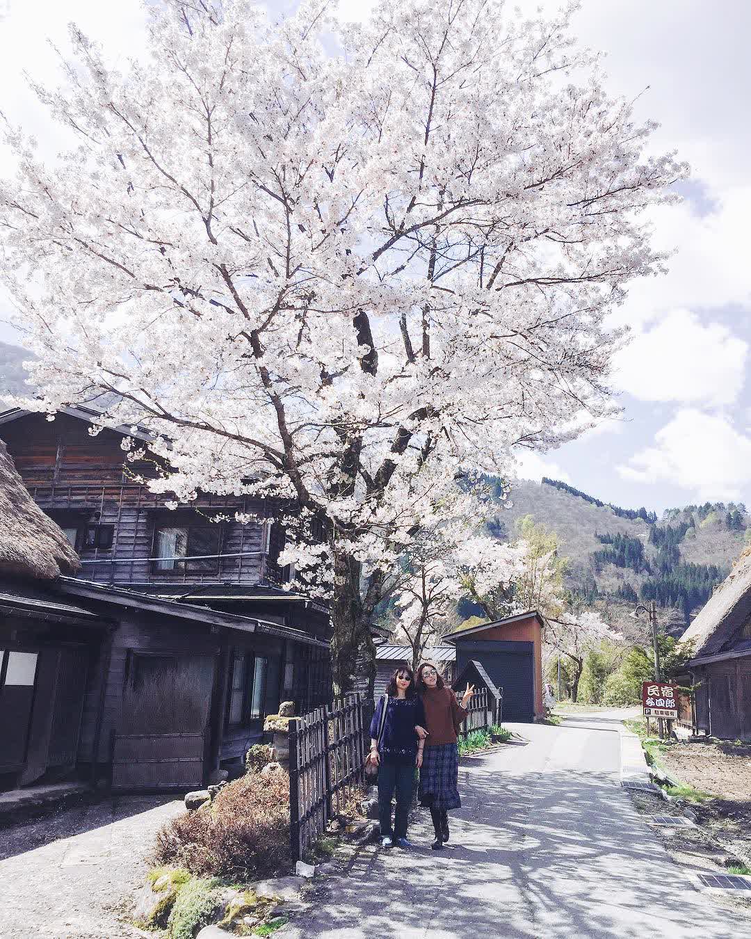 白川鄉合掌造聚落 | 去趣 chicTrip