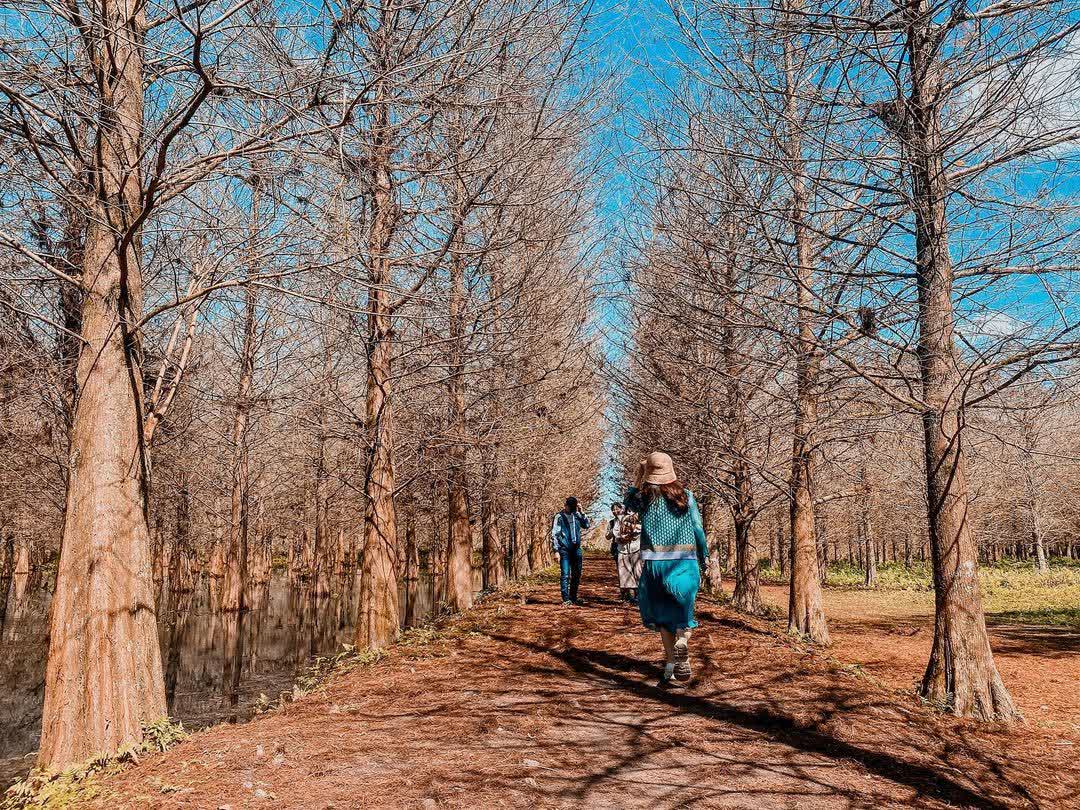 花蓮雲山水夢幻湖 | 去趣 chicTrip