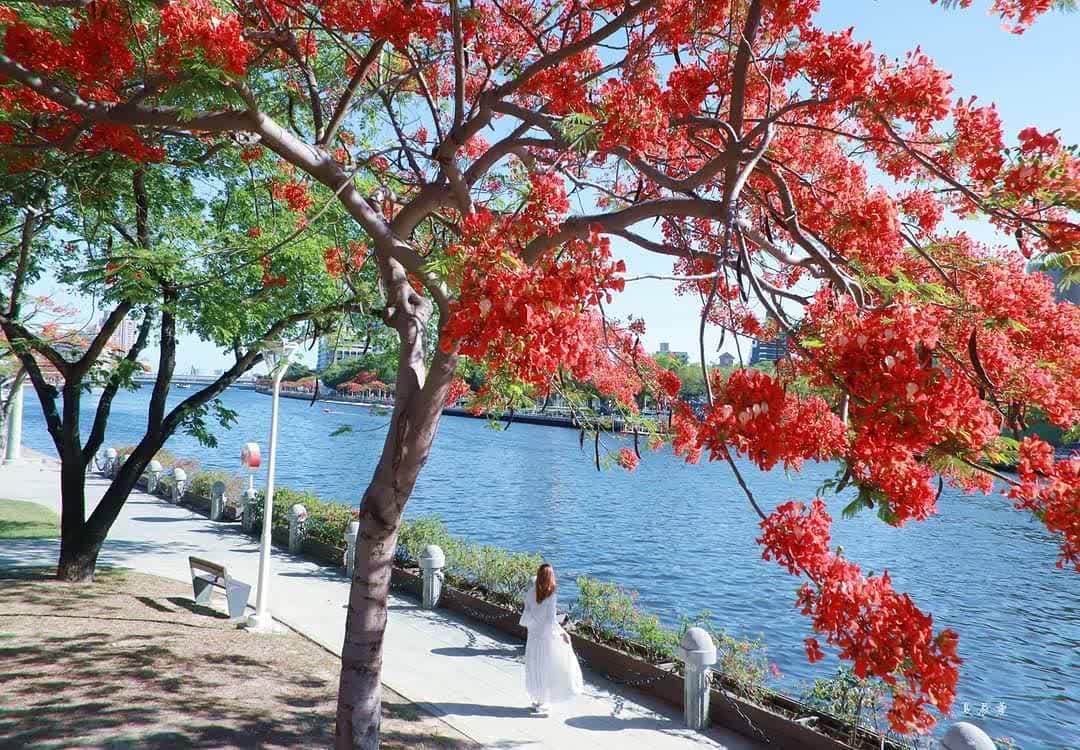 愛河(河東路) | 去趣 chicTrip