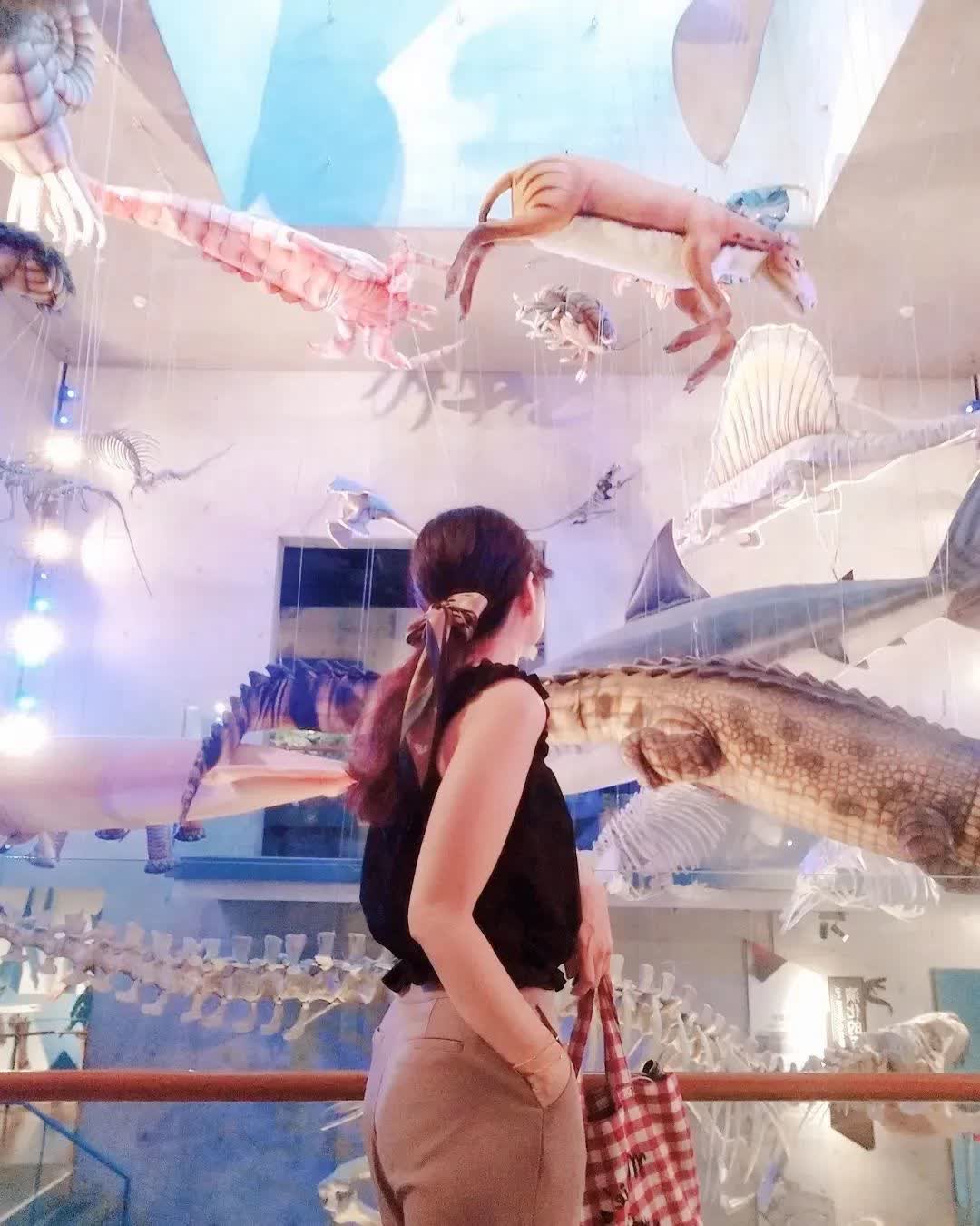 臺南左鎮化石園區(16:00截止售票、17:00閉館) | 去趣 chicTrip