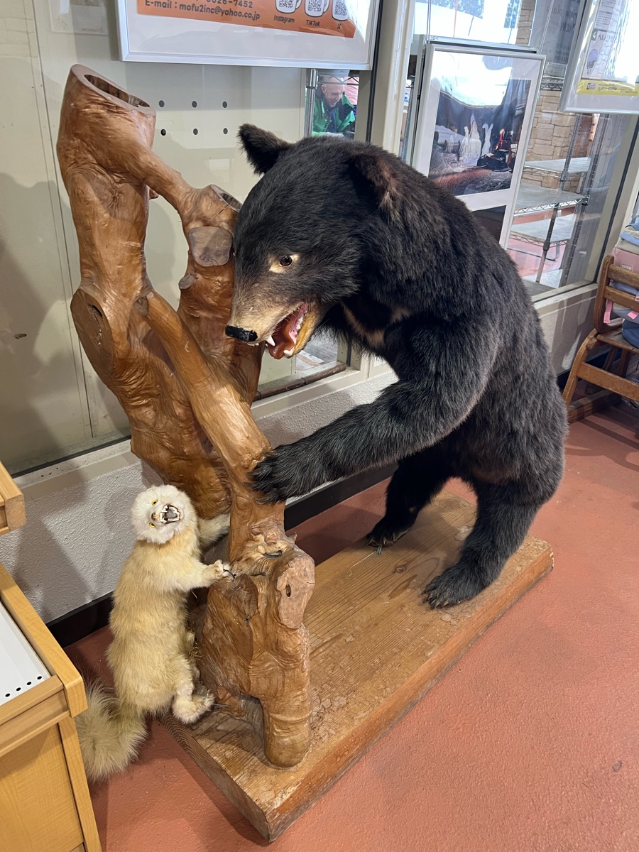 森吉山阿仁滑雪場 | 去趣 chicTrip