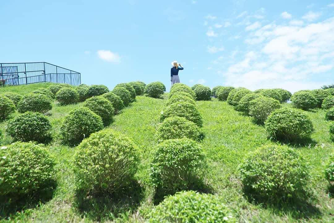 國立故宮博物院南部院區 | 去趣 chicTrip