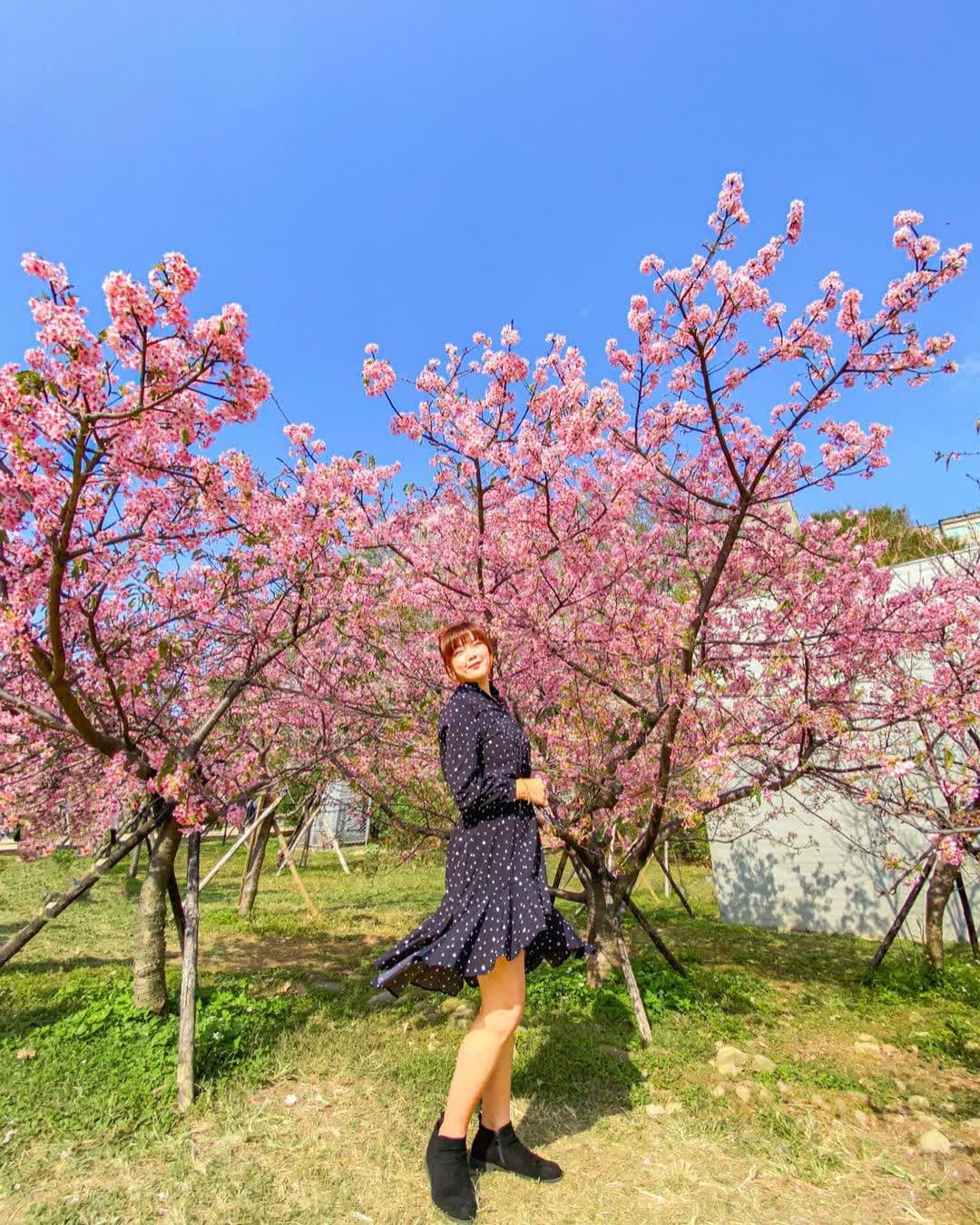 新竹公園 | 去趣 chicTrip