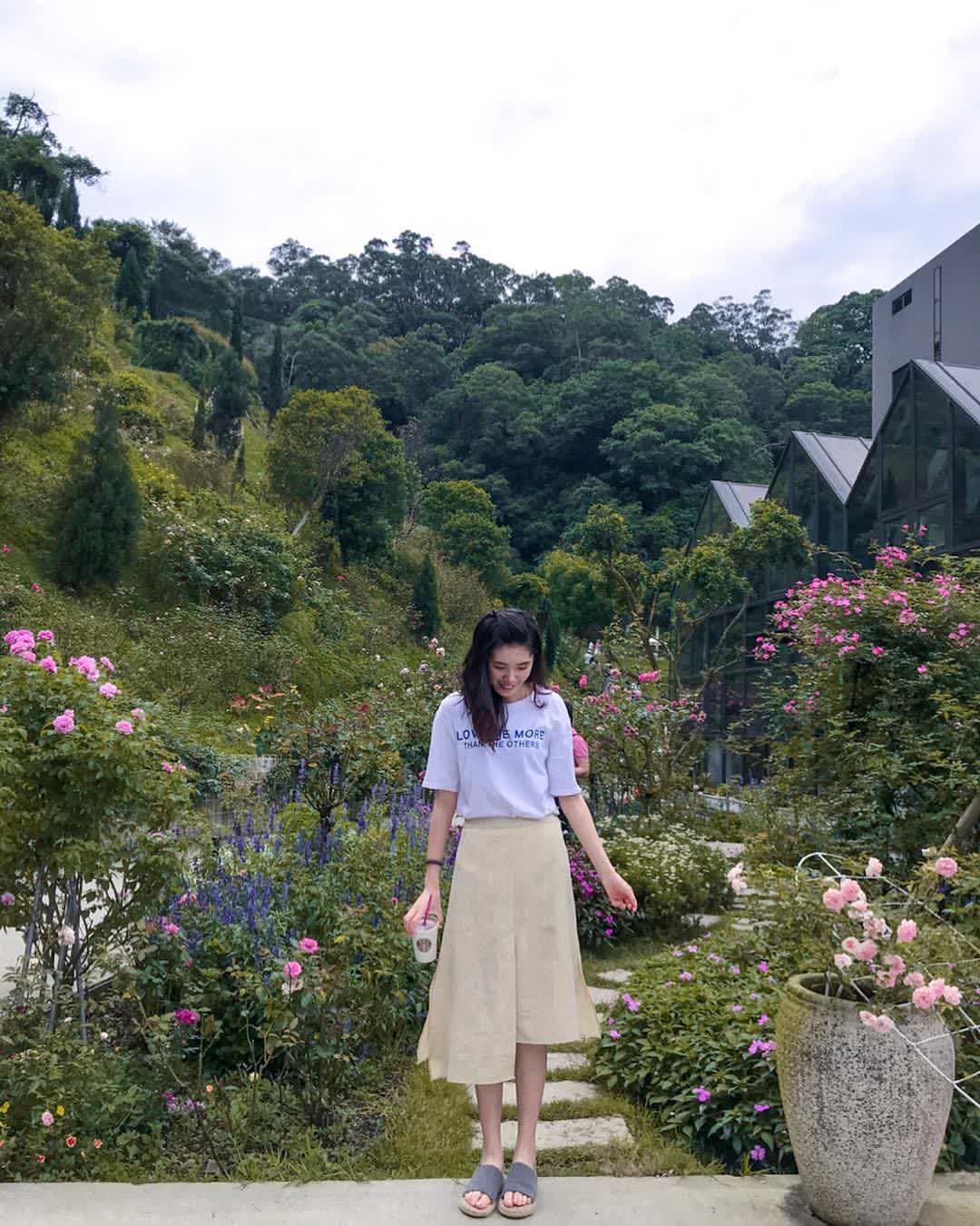 雅聞七里香玫瑰森林 | 去趣 chicTrip