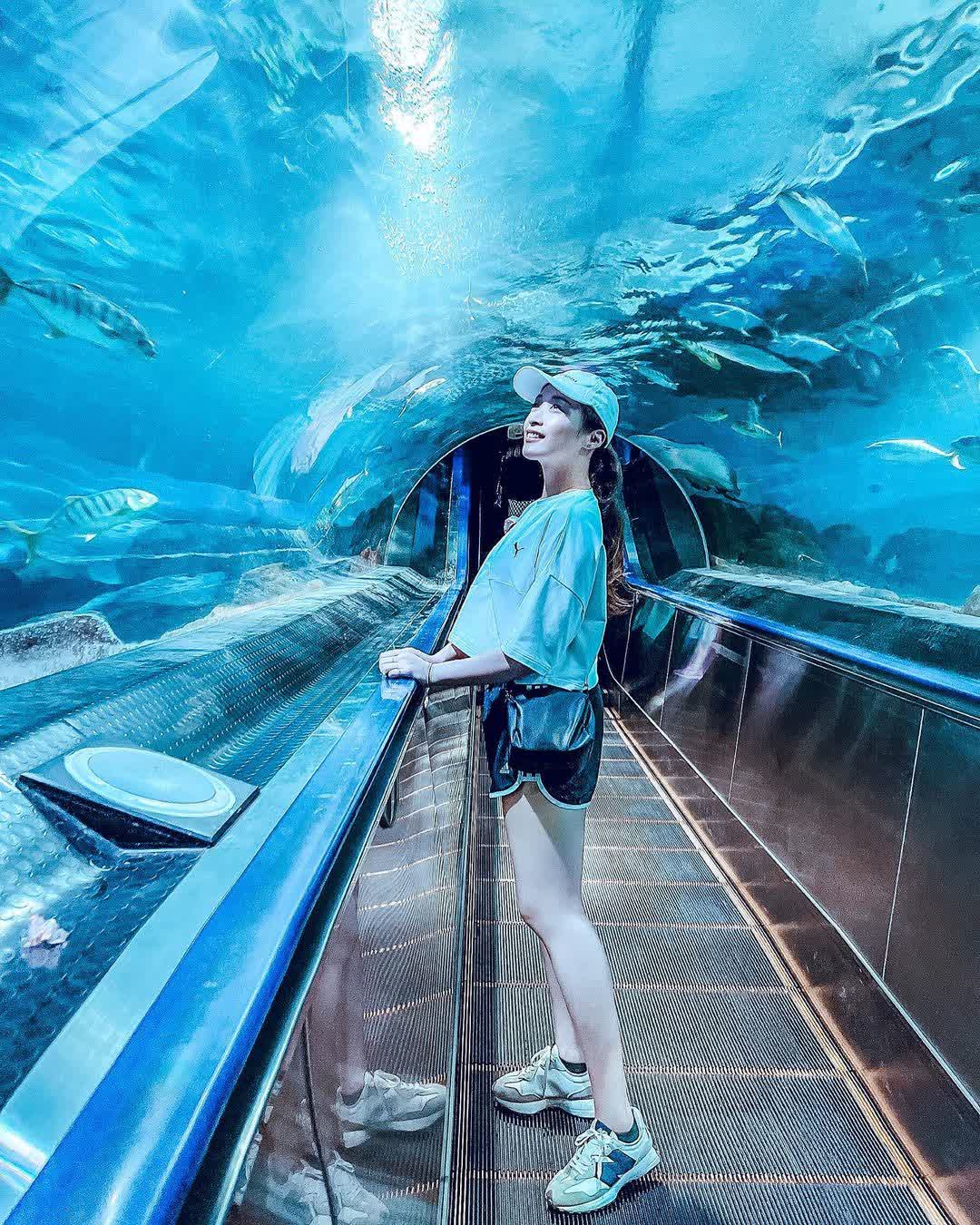 遠雄海洋公園 | 去趣 chicTrip