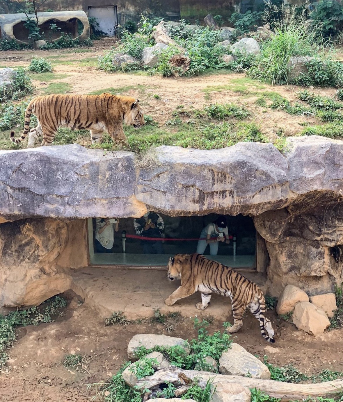 新竹市立動物園 | 去趣 chicTrip