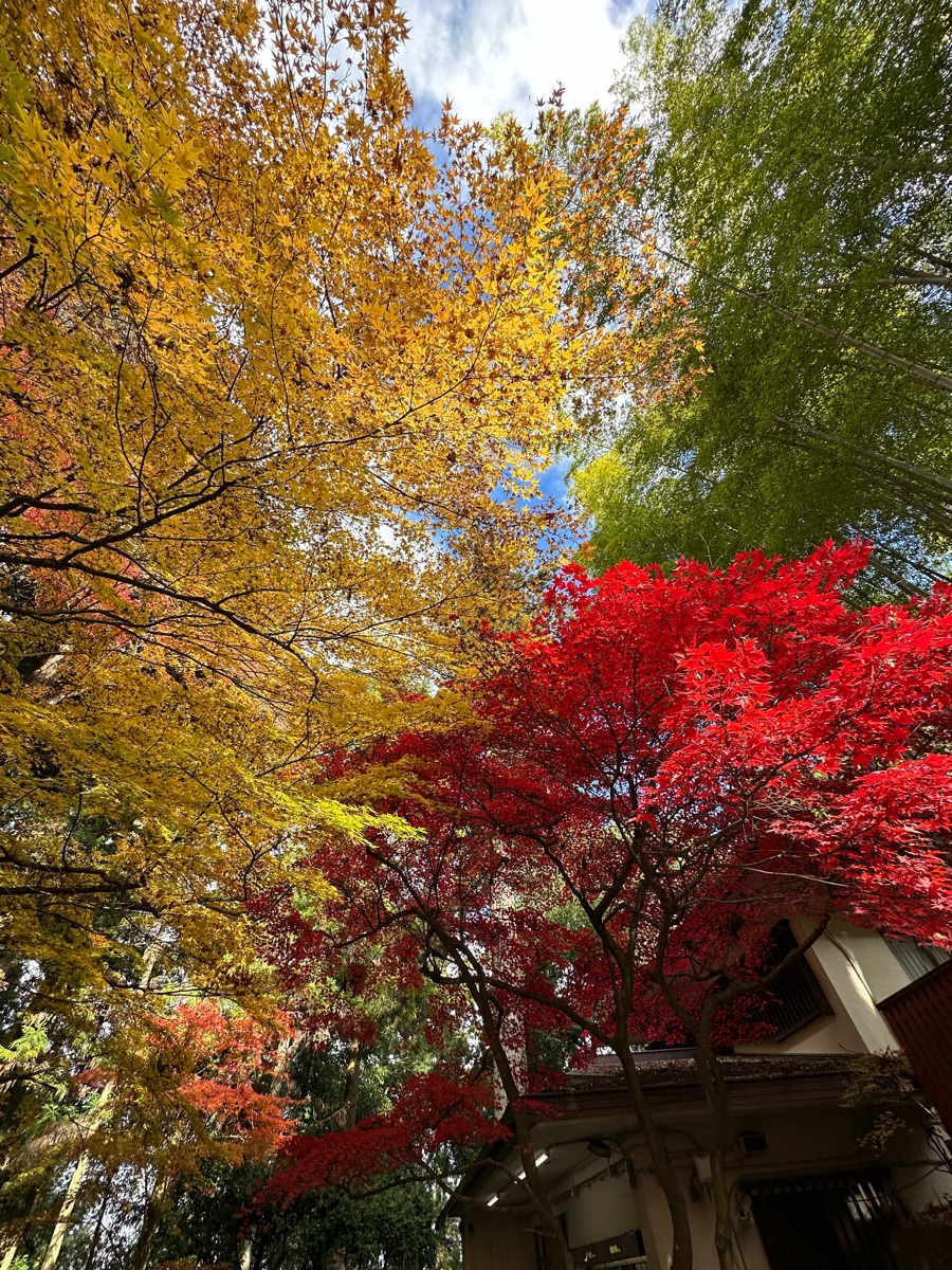 瑞鳳殿 | 去趣 chicTrip
