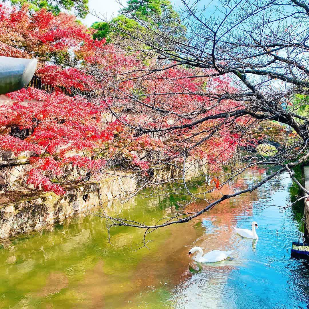 倉敷美觀地區 | 去趣 chicTrip