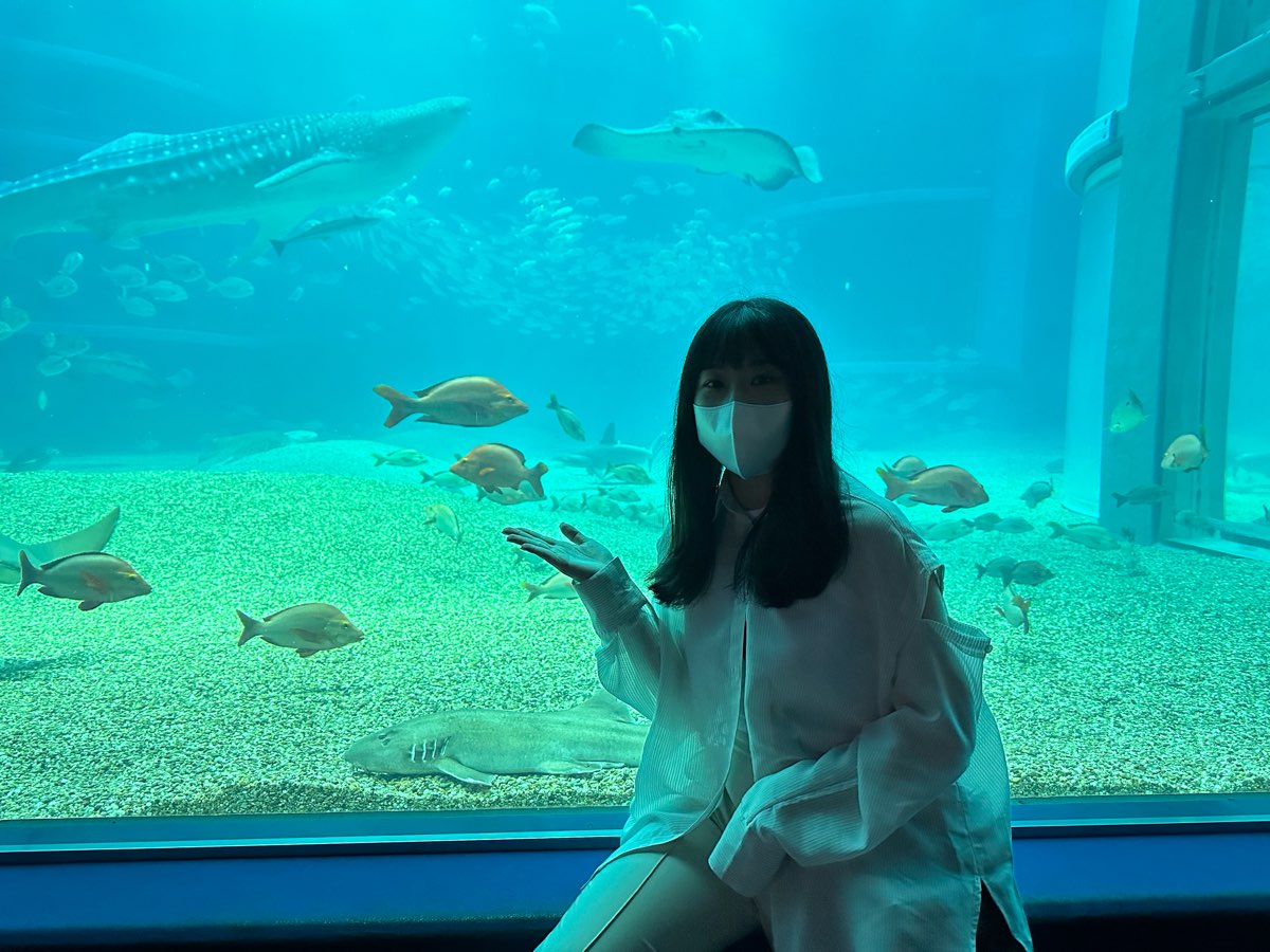 海遊館 | 去趣 chicTrip