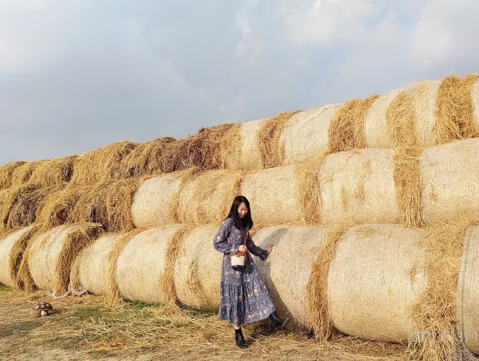 北港糖廠 | 去趣 chicTrip