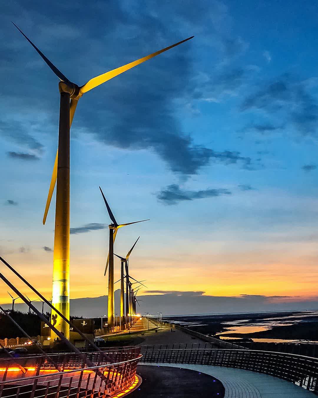 高美野生動物保護區 | 去趣 chicTrip