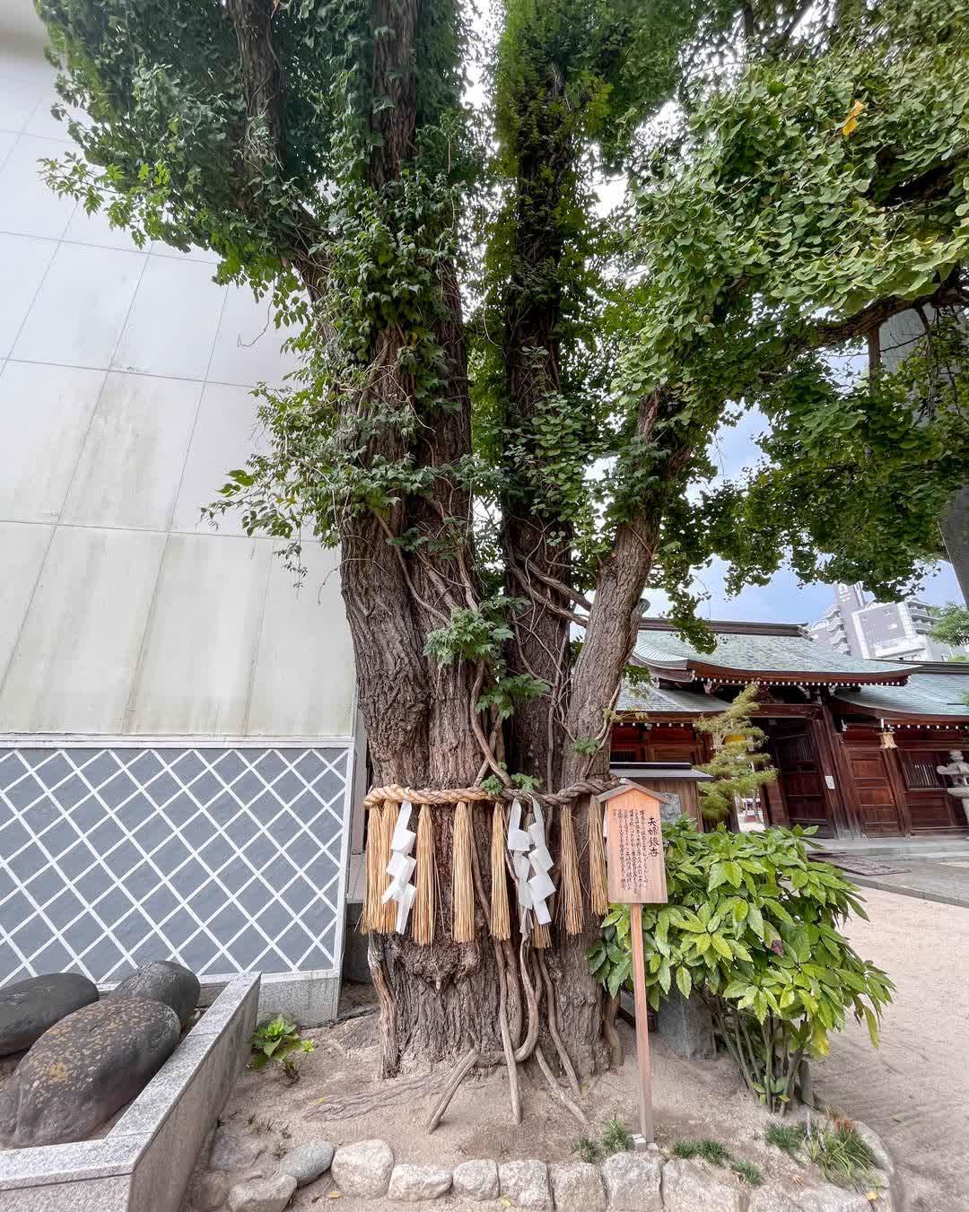 櫛田神社 | 去趣 chicTrip