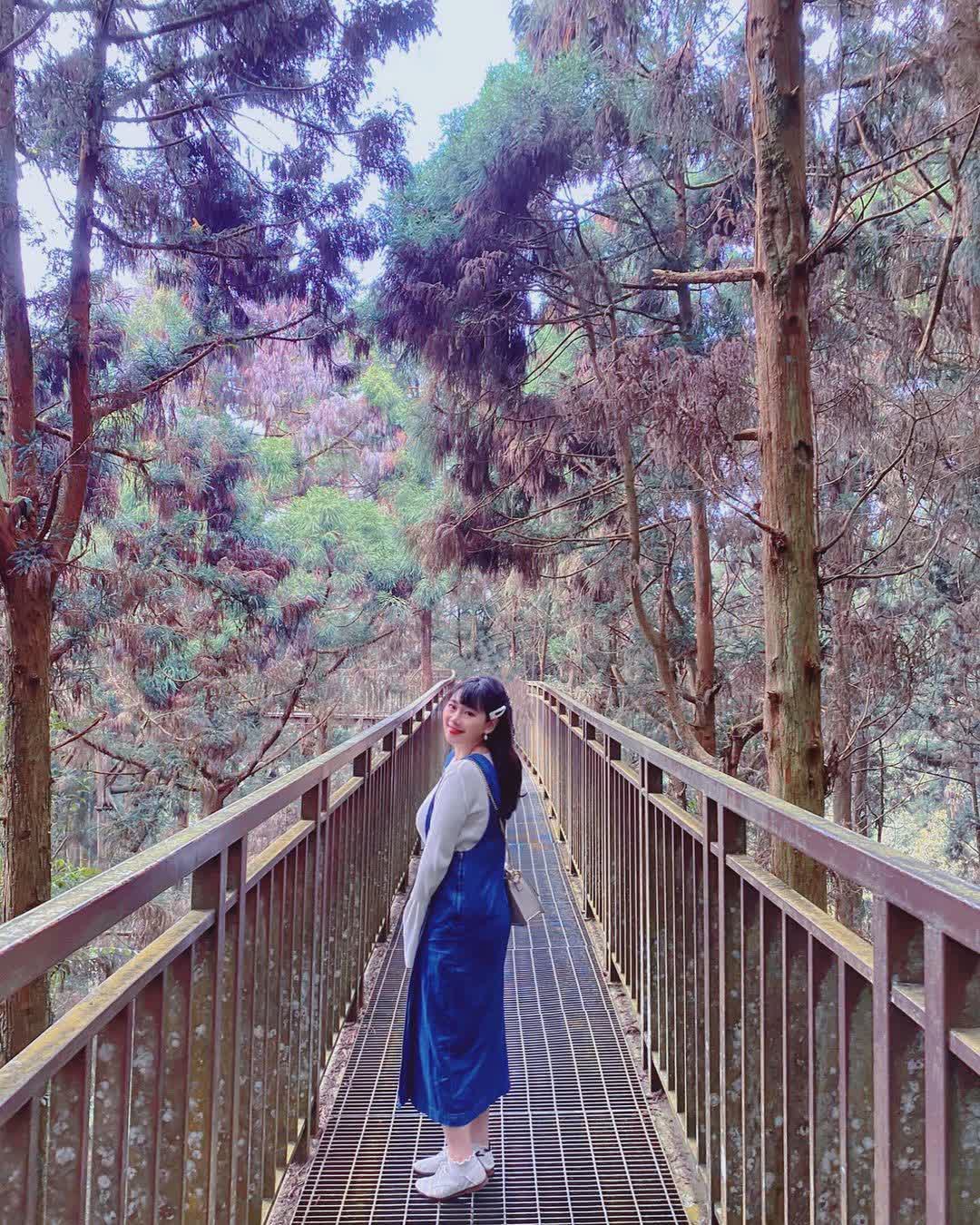 溪頭自然教育園區 | 去趣 chicTrip