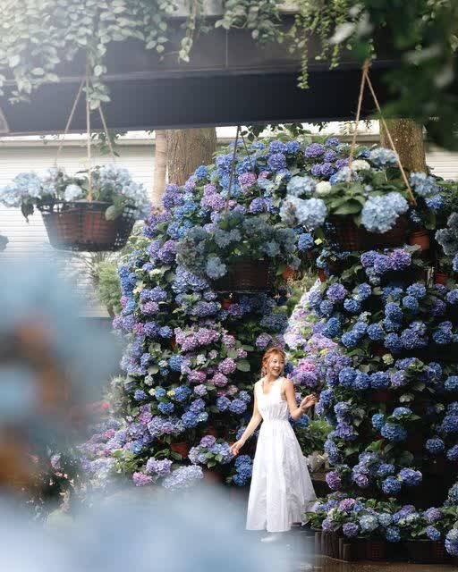 花露農場 Flower Home | 去趣 chicTrip