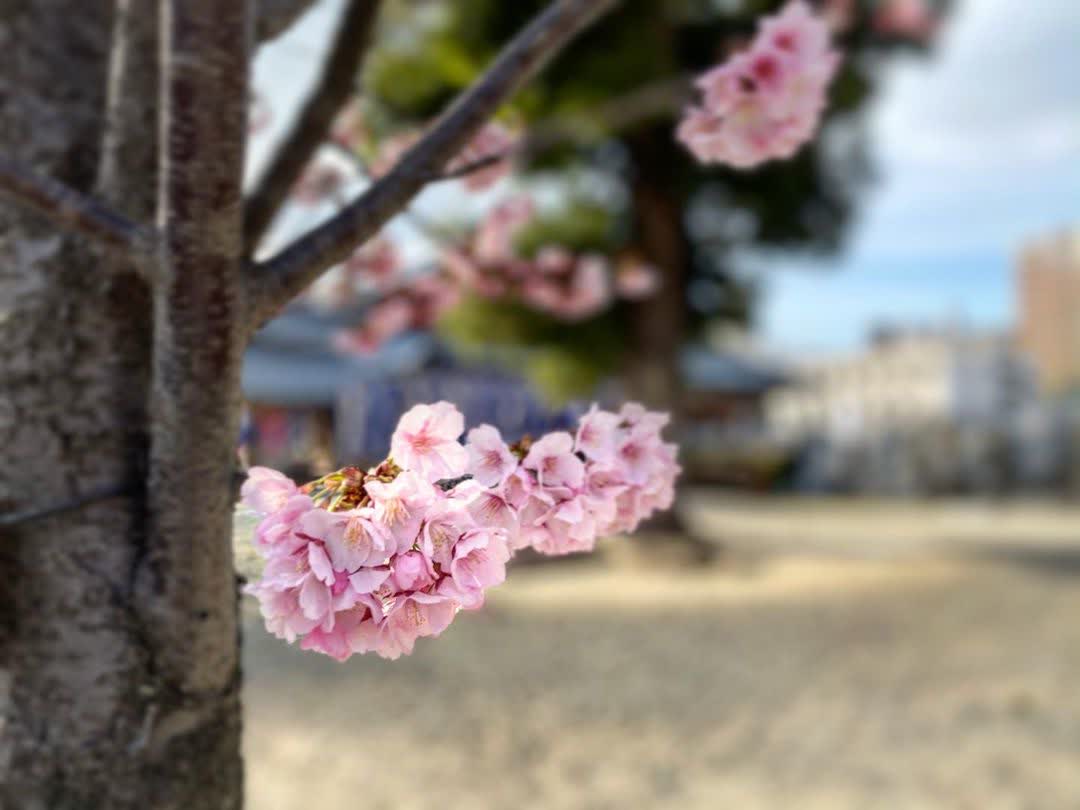 四天王寺 | 去趣 chicTrip