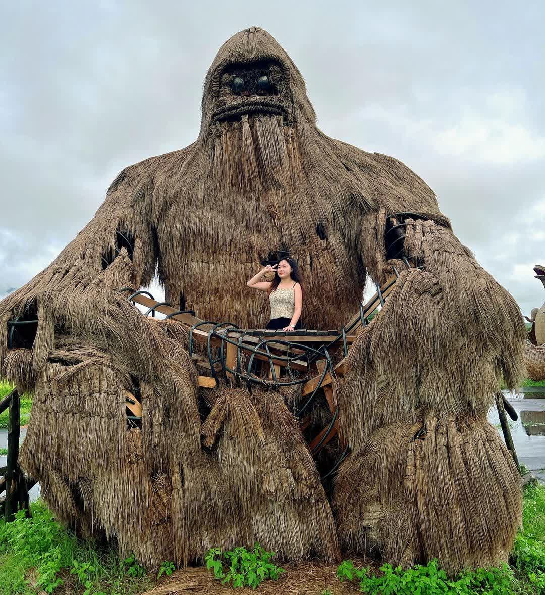 富里花海景觀區  (花蓮縣富里鄉農會旁) | 去趣 chicTrip