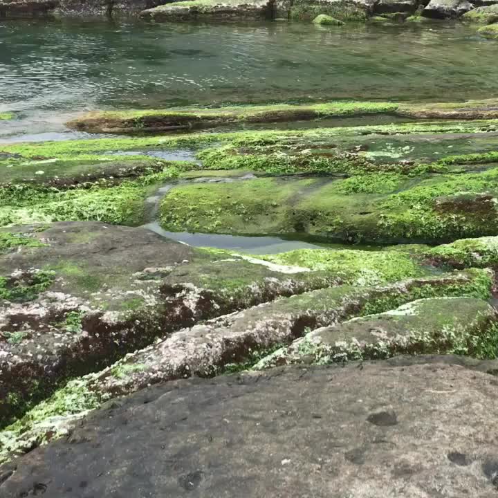 基隆八斗子潮境公園 | 去趣 chicTrip