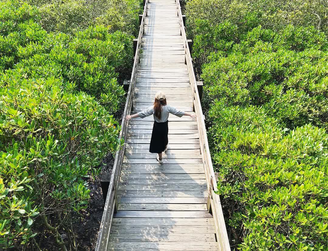 新豐紅樹林生態保護區 | 去趣 chicTrip