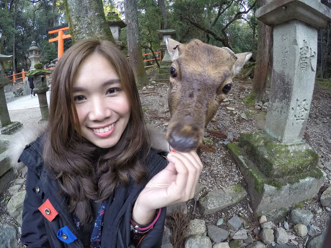 奈良公園 | 去趣 chicTrip