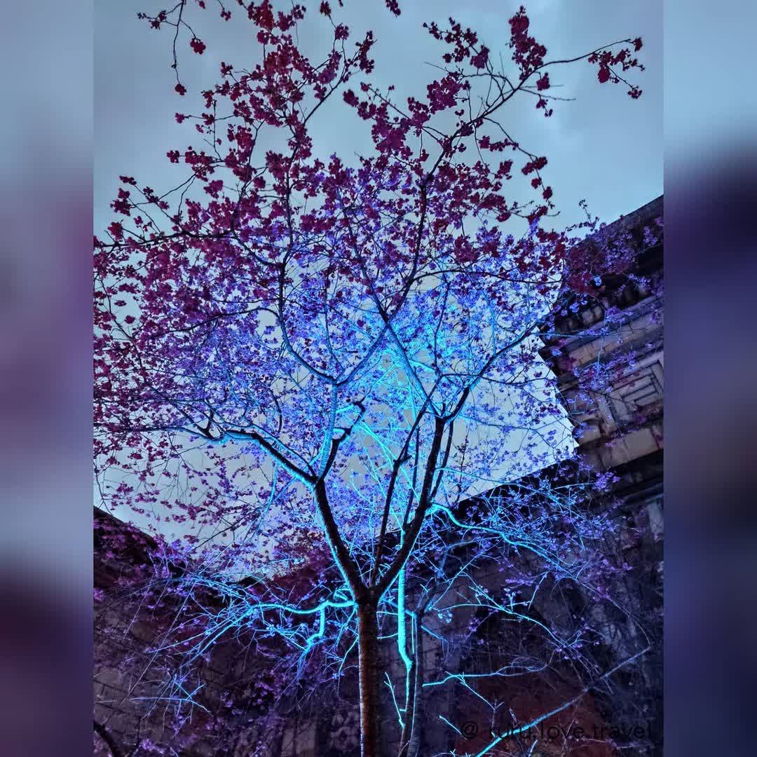 九族文化村 | 去趣 chicTrip