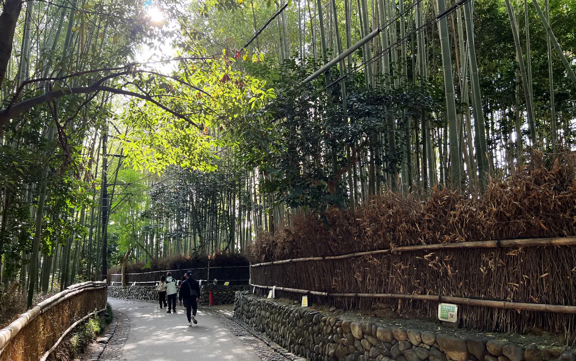 嵐山竹林小徑 | 去趣 chicTrip