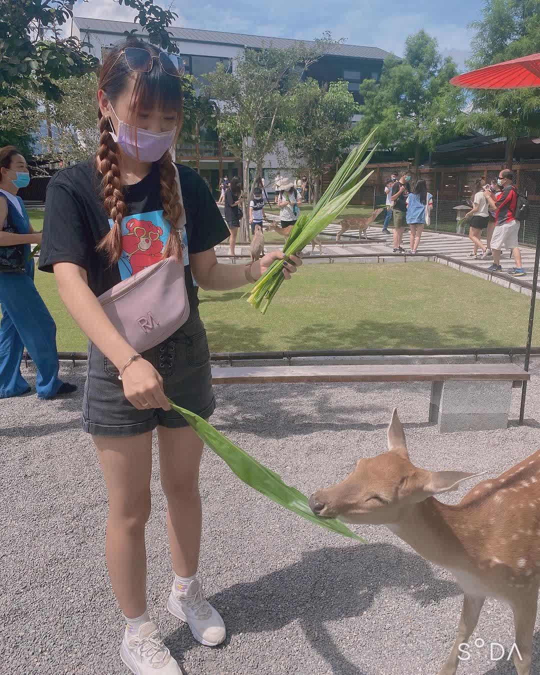 張美阿嬤農場（月森甯手作工坊） | 去趣 chicTrip